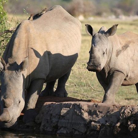 Jamala Madikwe Royal Safari alojamiento Mochudi Exterior foto